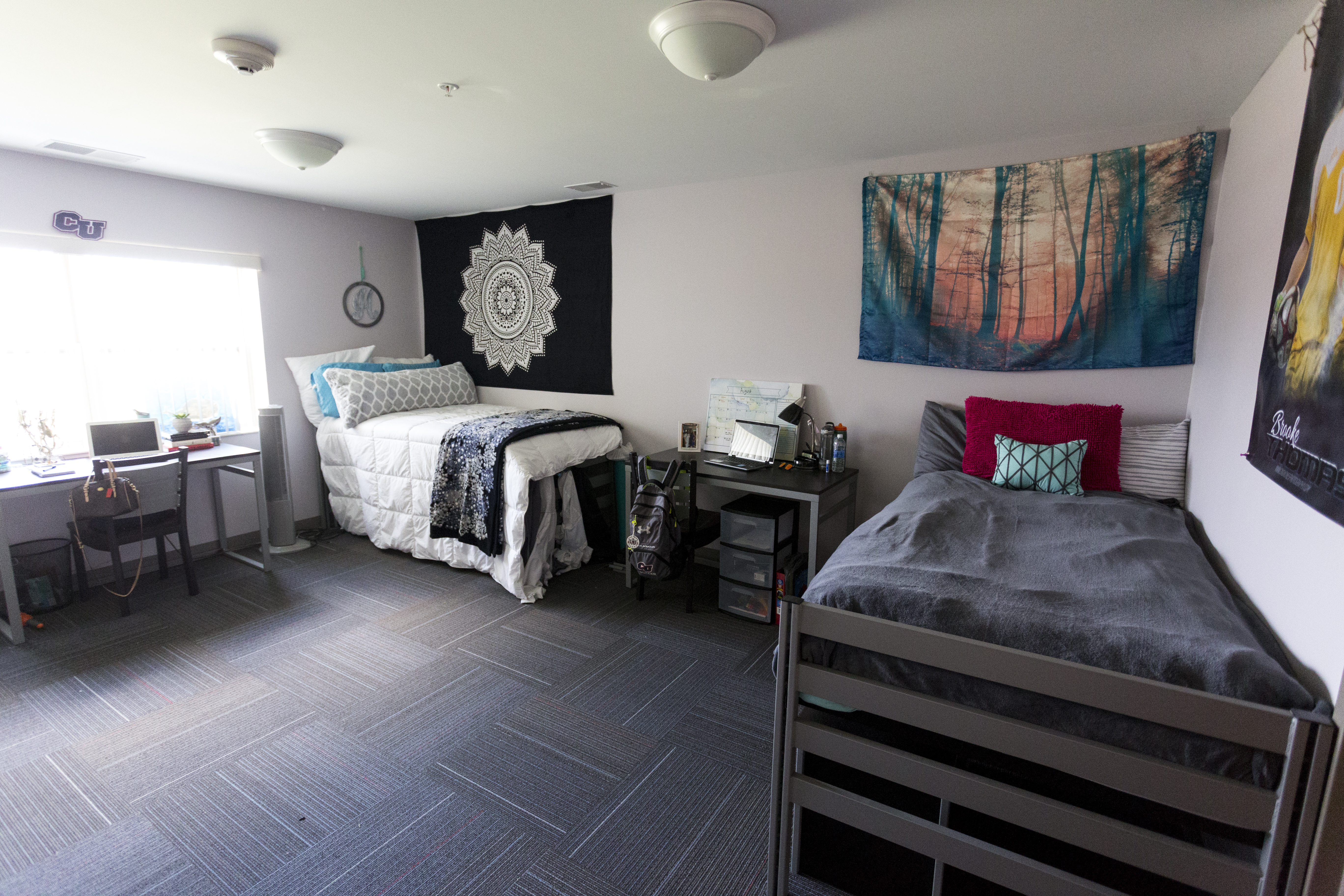 Housing Cleary Universitycleary University